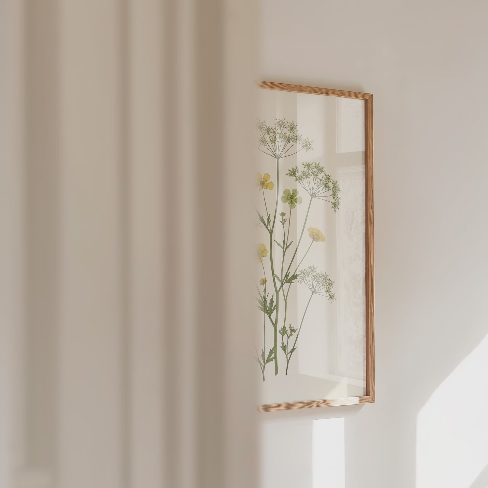 Meadow Buttercup Poster – väggvideo